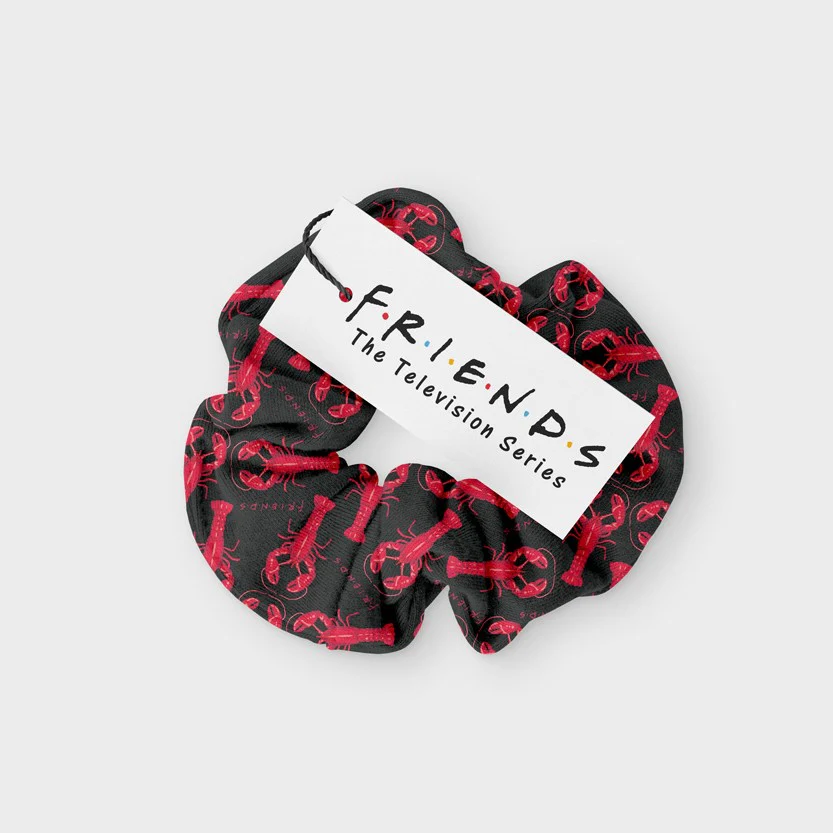 Scrunchy Friends Lobster - Image 2