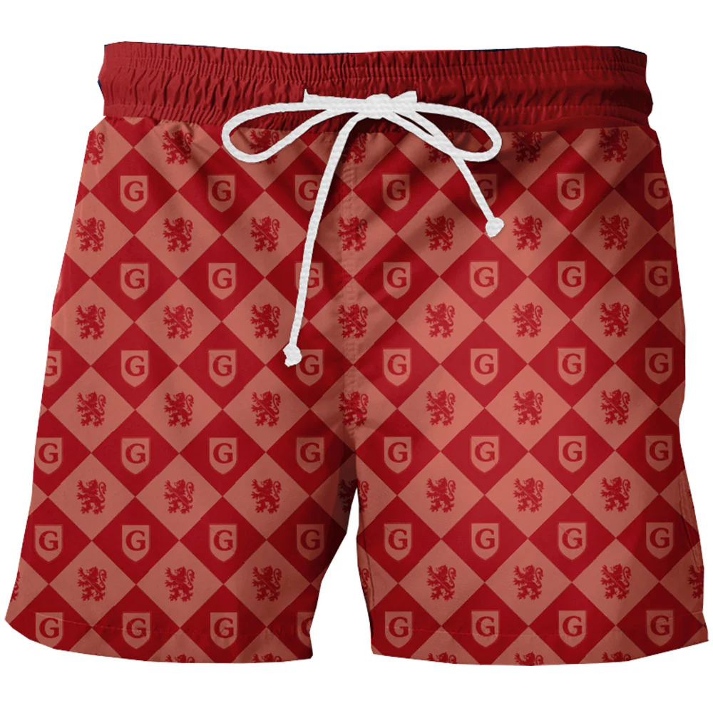 Traje de Baño Gryfindor Pride