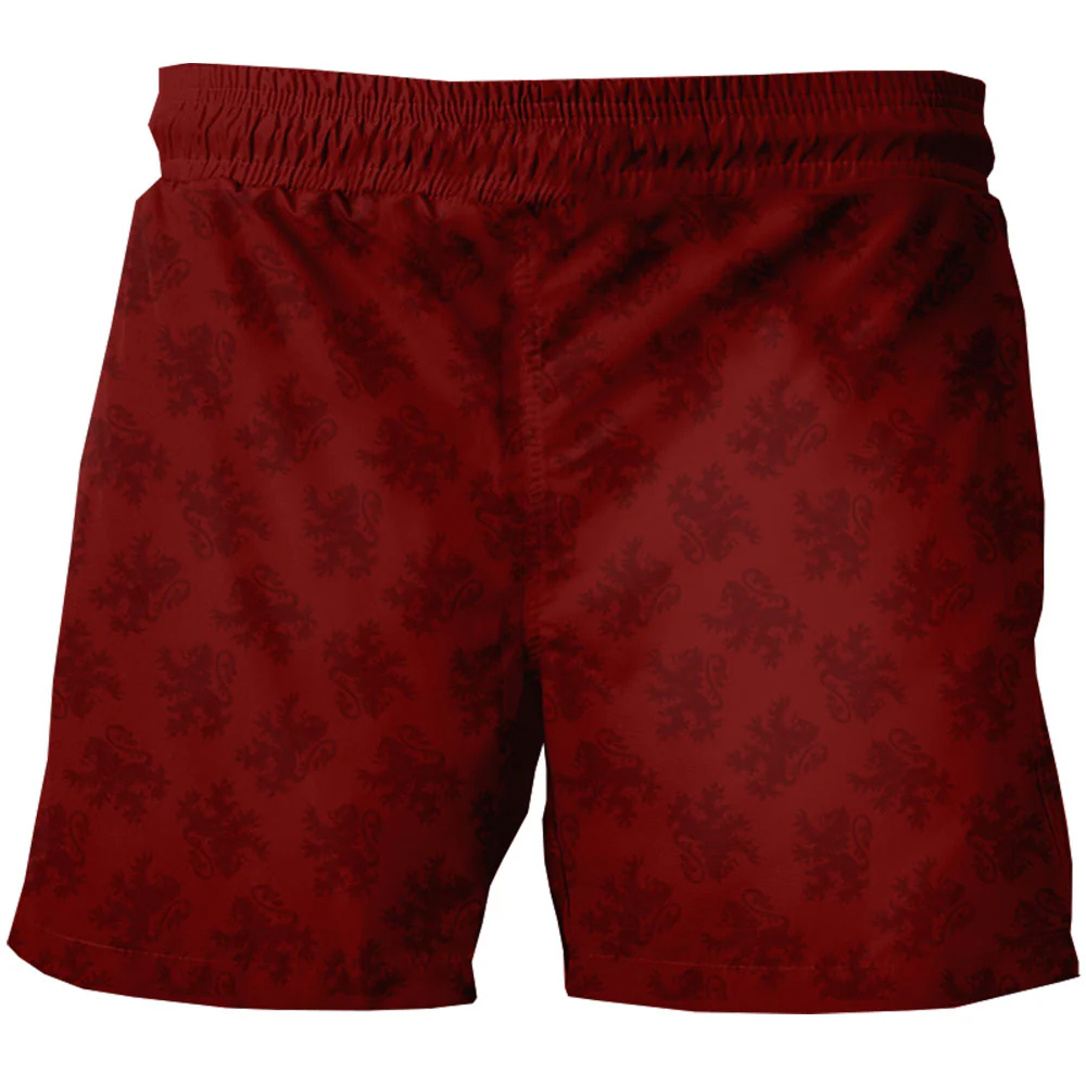 Traje de Baño Harry Potter Gryfindor - Image 2